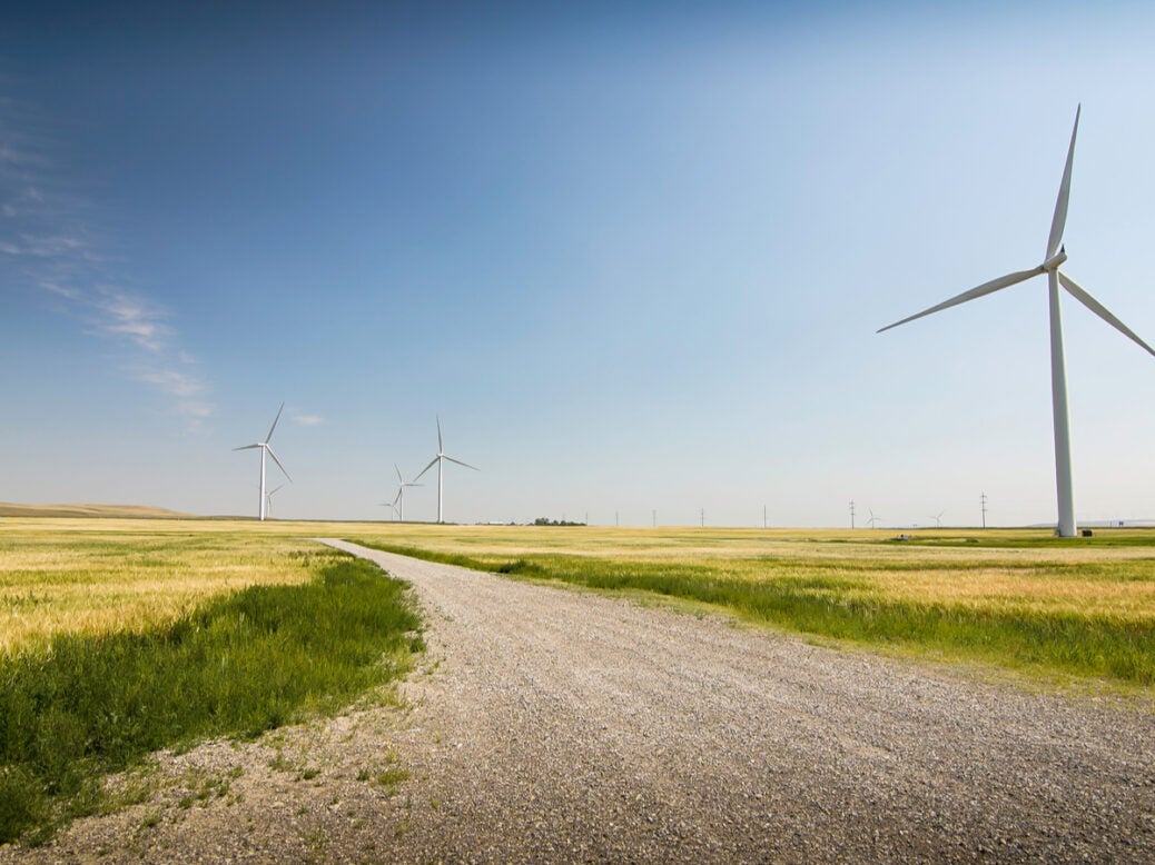 A road passes through a wind farm as accountancy bodies commit to net zero