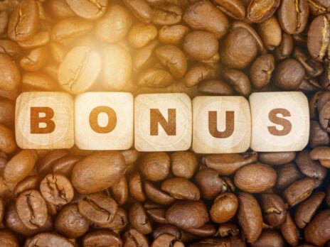 Offering bonuses demotivates highly driven auditors